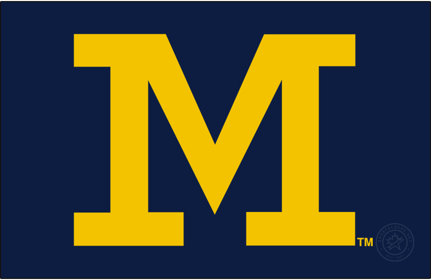 Michigan Wolverines 2016-Pres Secondary Logo v4 iron on transfers for T-shirts